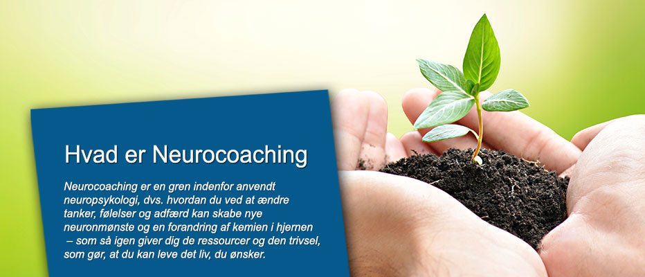 hvad er neurocoaching hvad er neurocoaching
