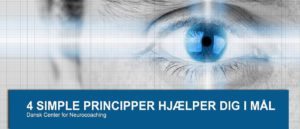 De fire Neurocoaching-principper