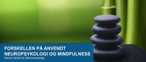 FORSKELLEN-PÅ-ANVENDT-NEUROPSYKOLOGI-OG-MINDFULNESS