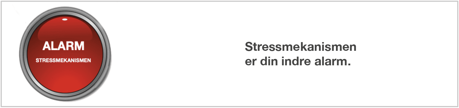 Stressmodellen