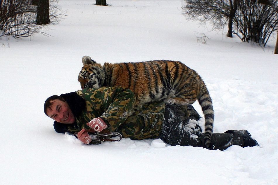 Volodomyr med tiger Volodomyr med tiger
